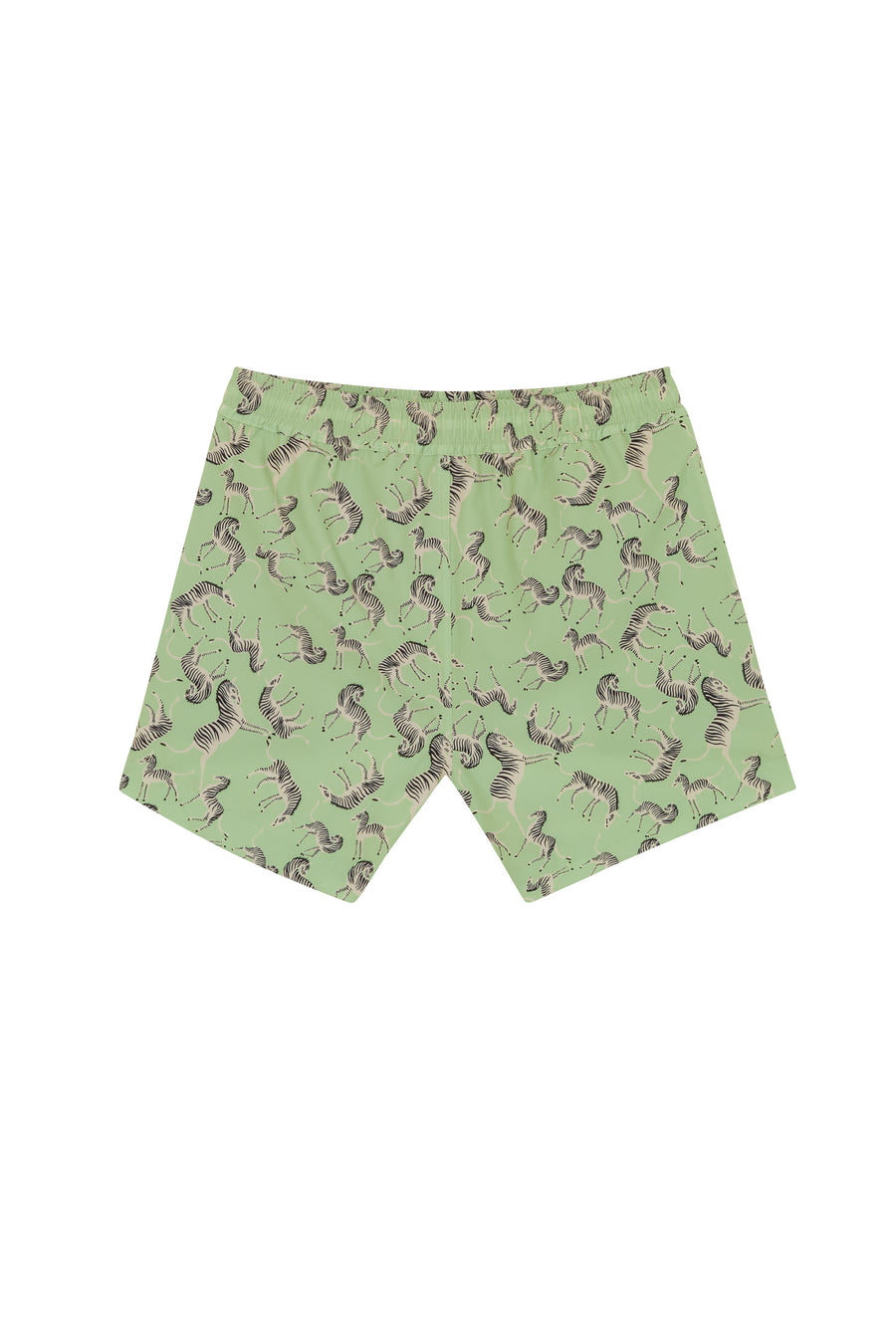 Tato Swim Short - Pistacchio Zebra